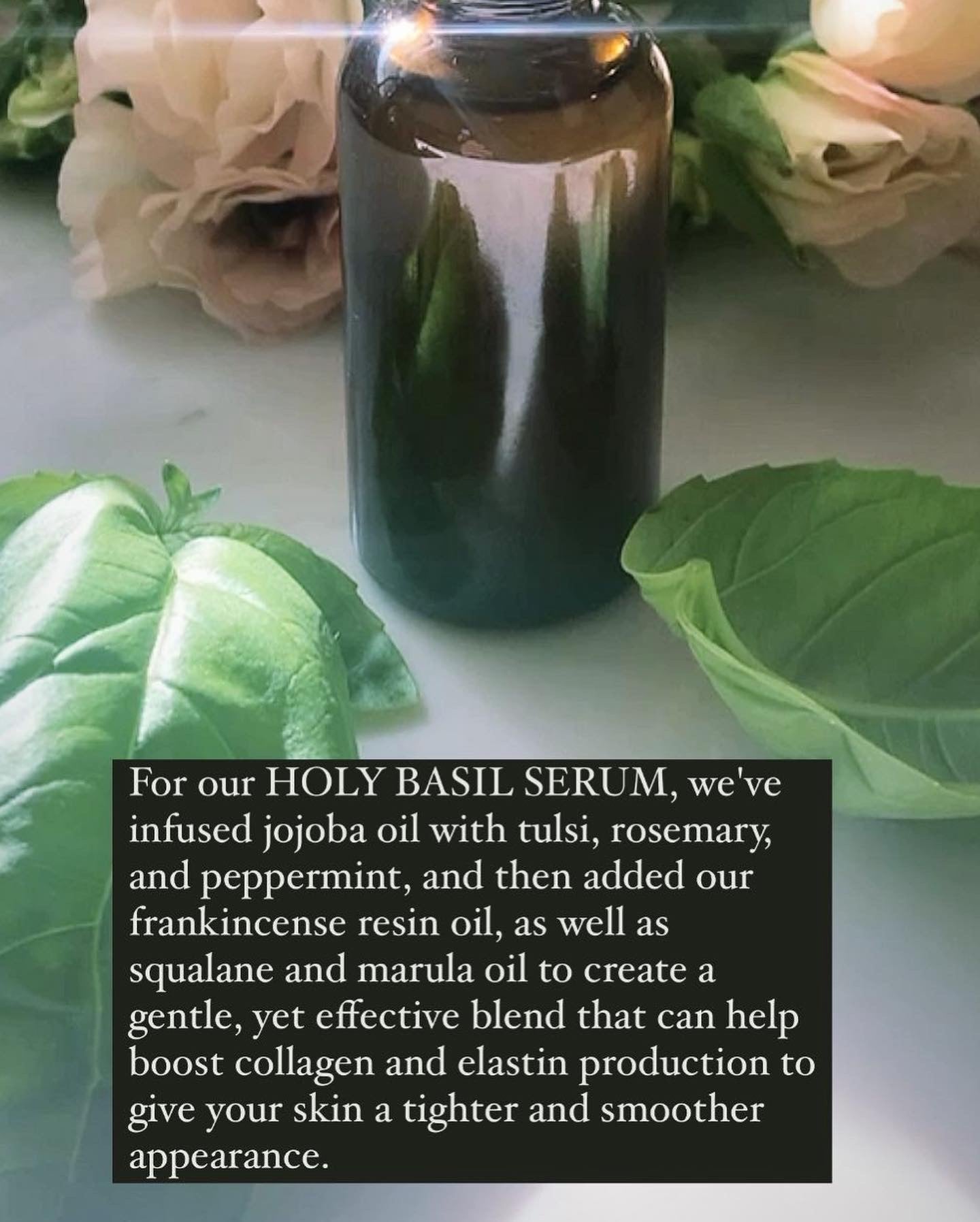 HOLY BASIL SERUM
