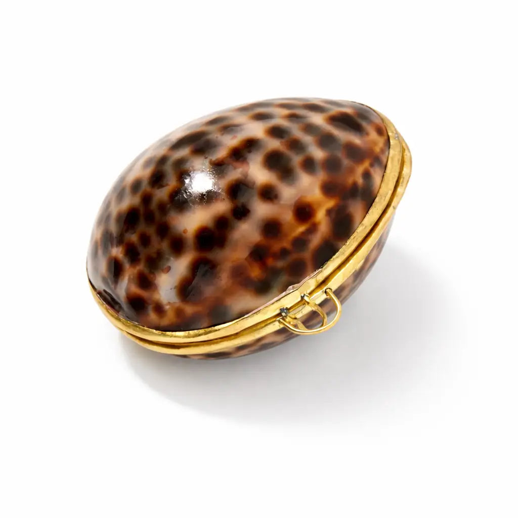 TIGER COWRIE SEASHELL MINI BOX