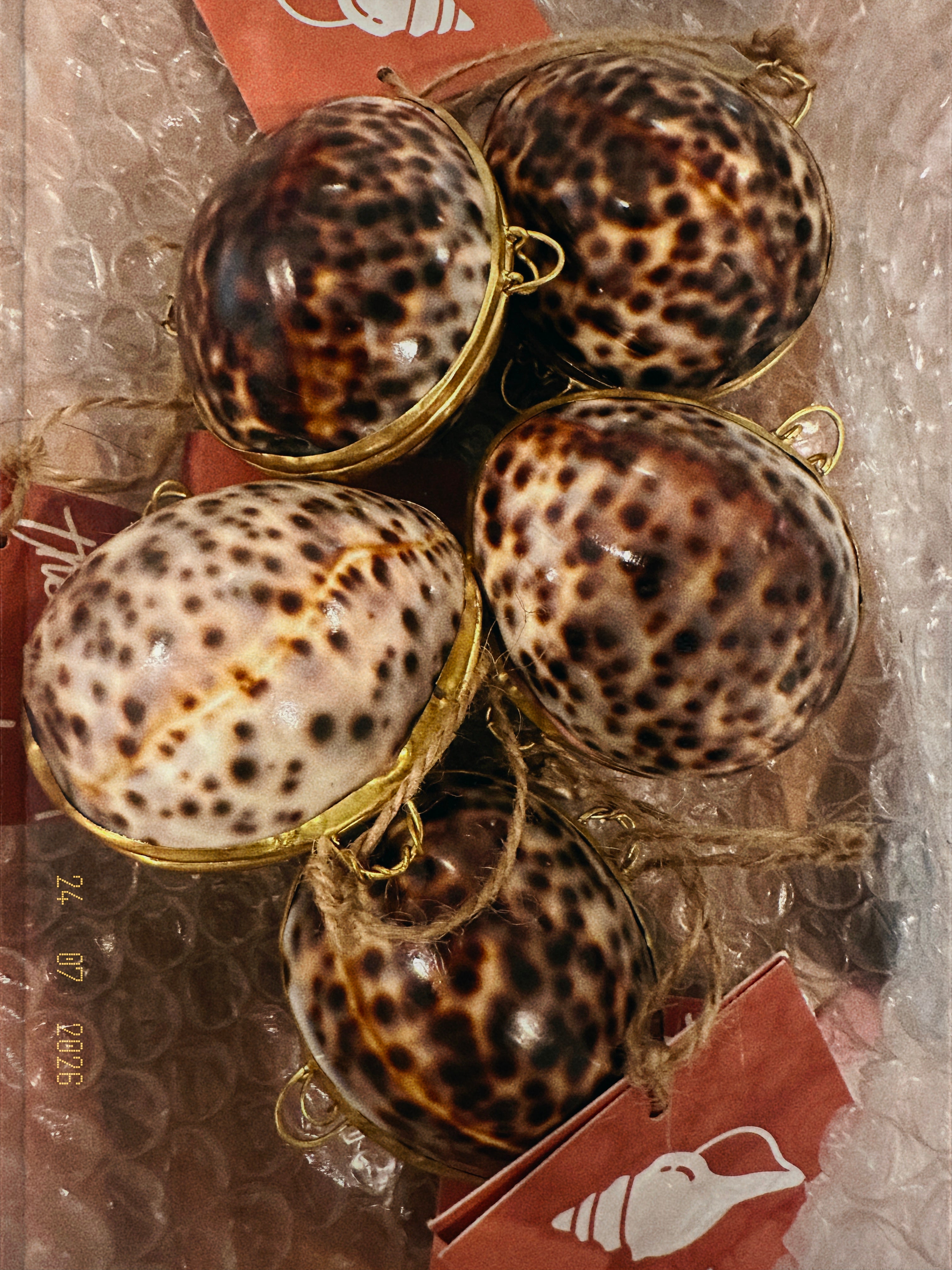 TIGER COWRIE SEASHELL MINI BOX