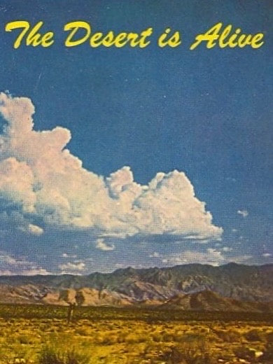 DESERT RAIN