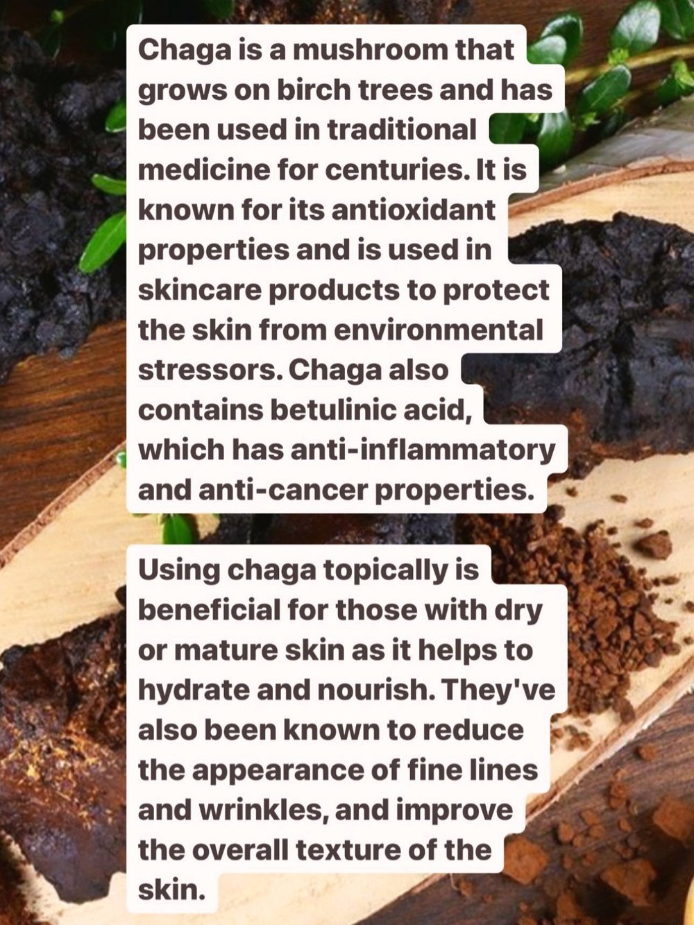 DEADSTOCK: NO. 11 SKINFOOD SERUM