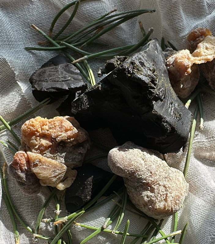 WHITE SPRUCE + PINE BALM