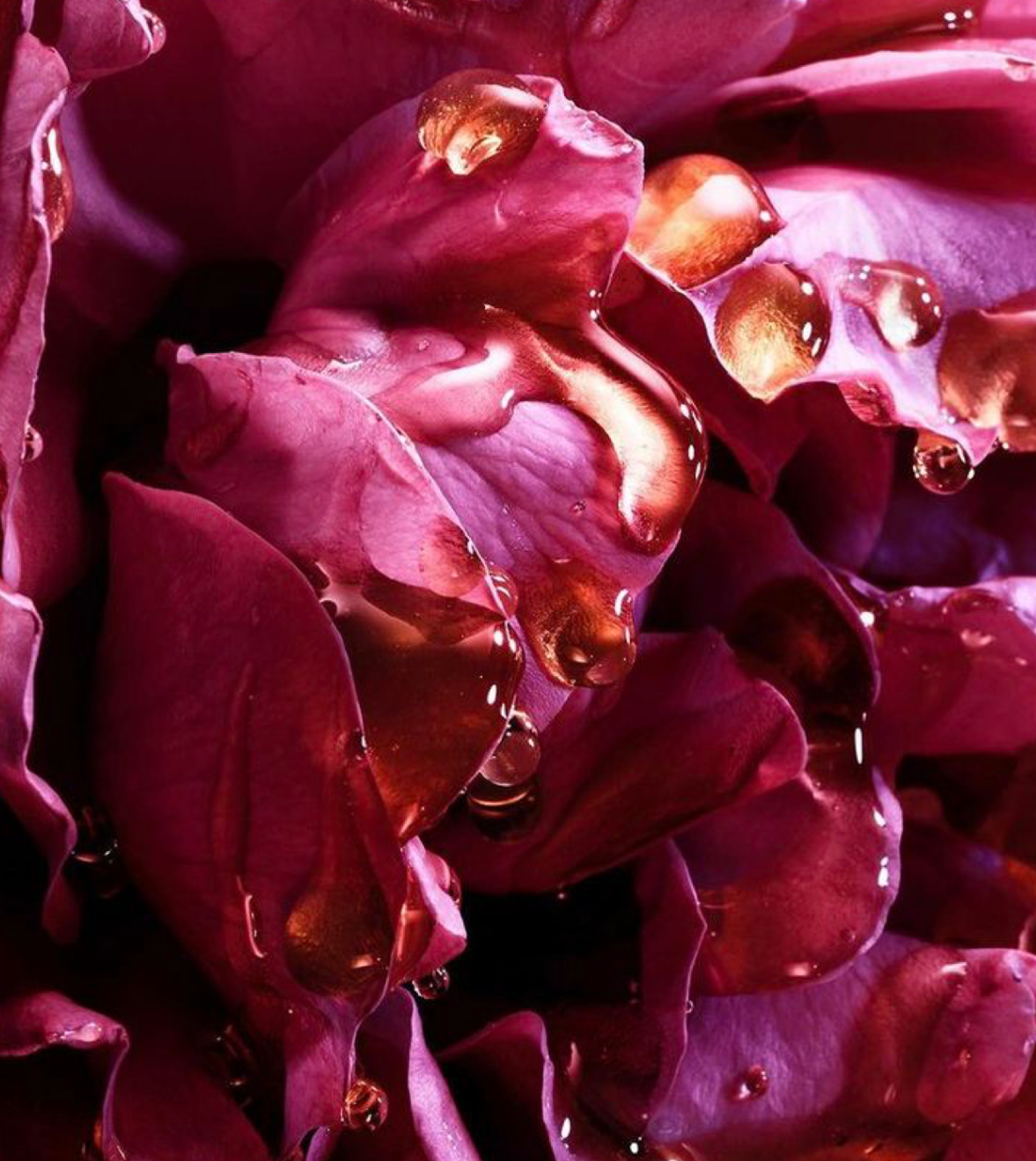 NECTAR CLEANSING OIL