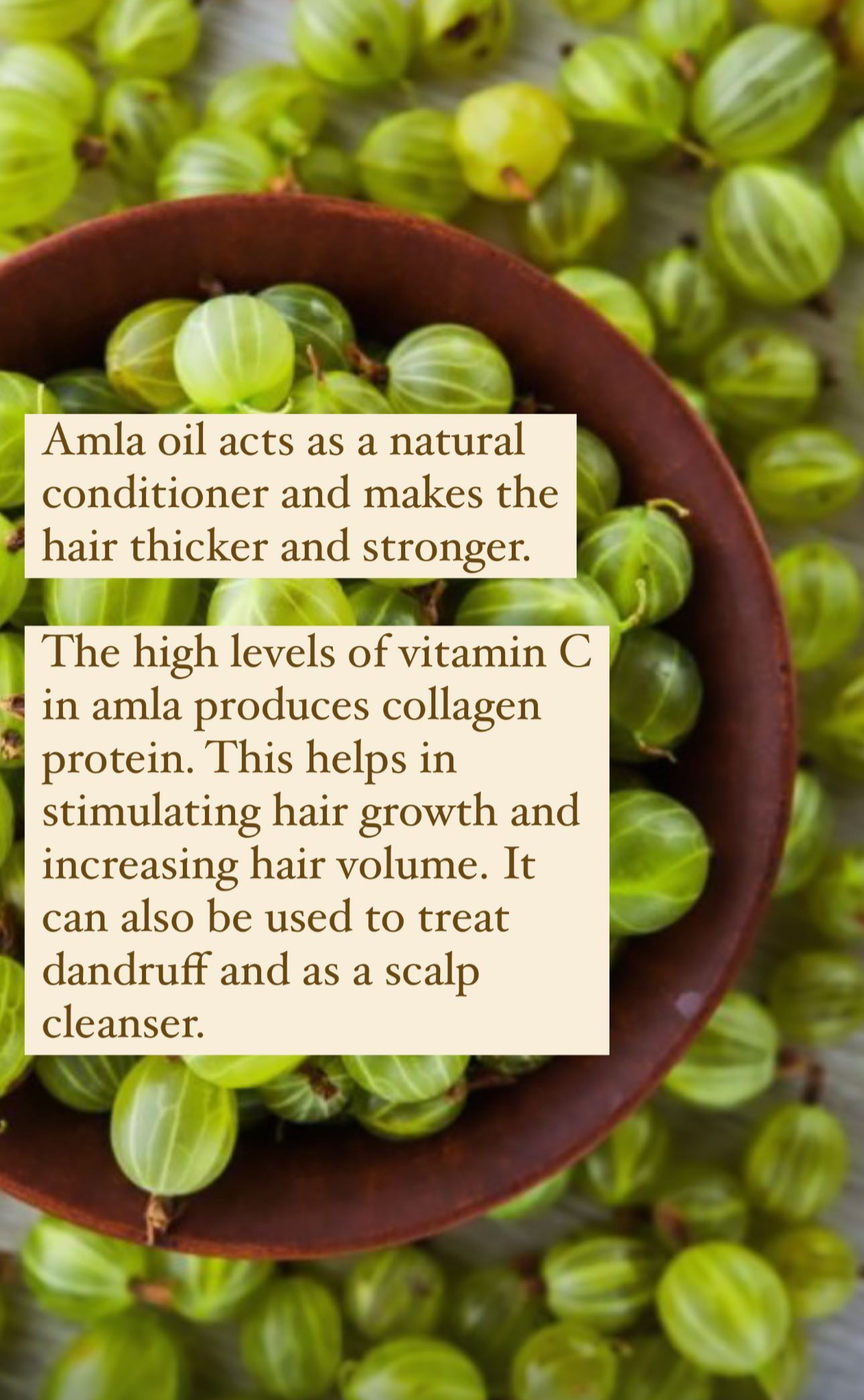 AMLA FRUIT HAIR SERUM