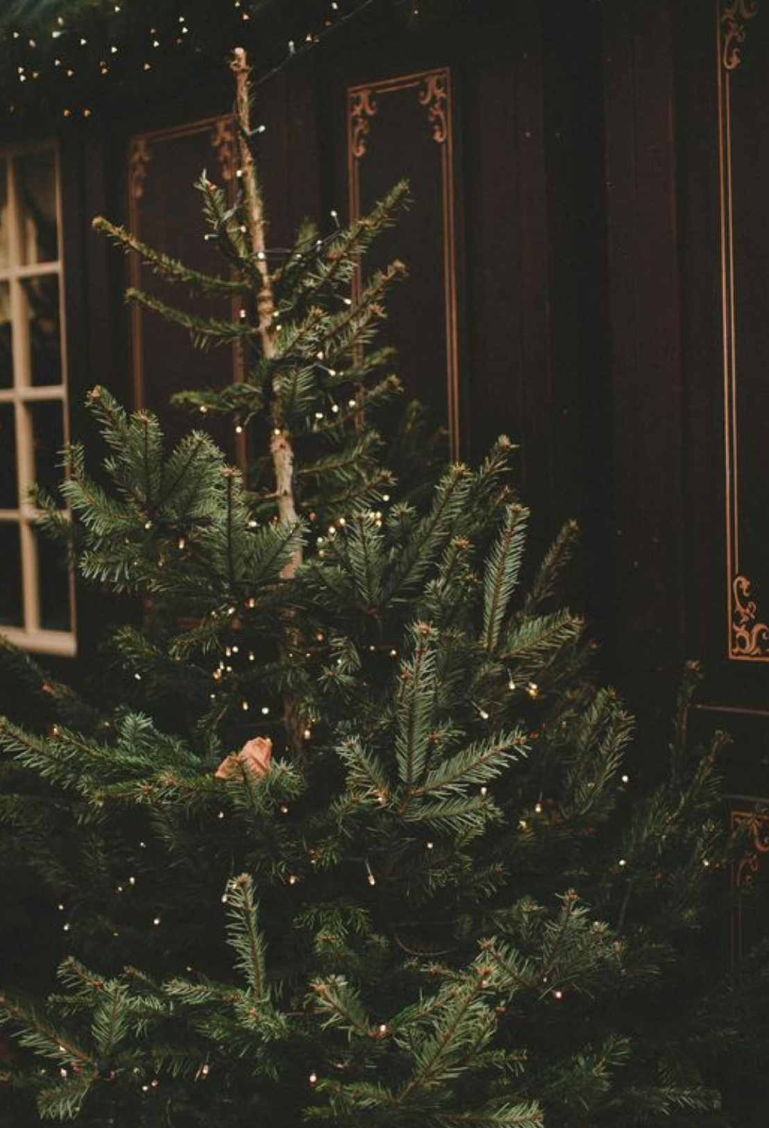 BALSAM + MEADOWFOAM REWIND SERUM