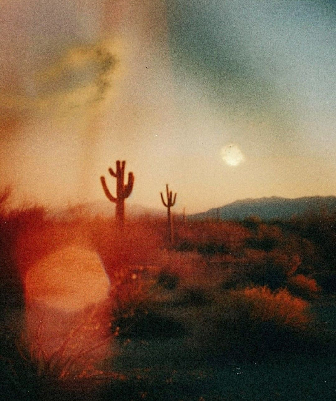 DESERT RAIN