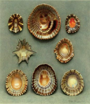 MERMAID MONDAY BUNDLE