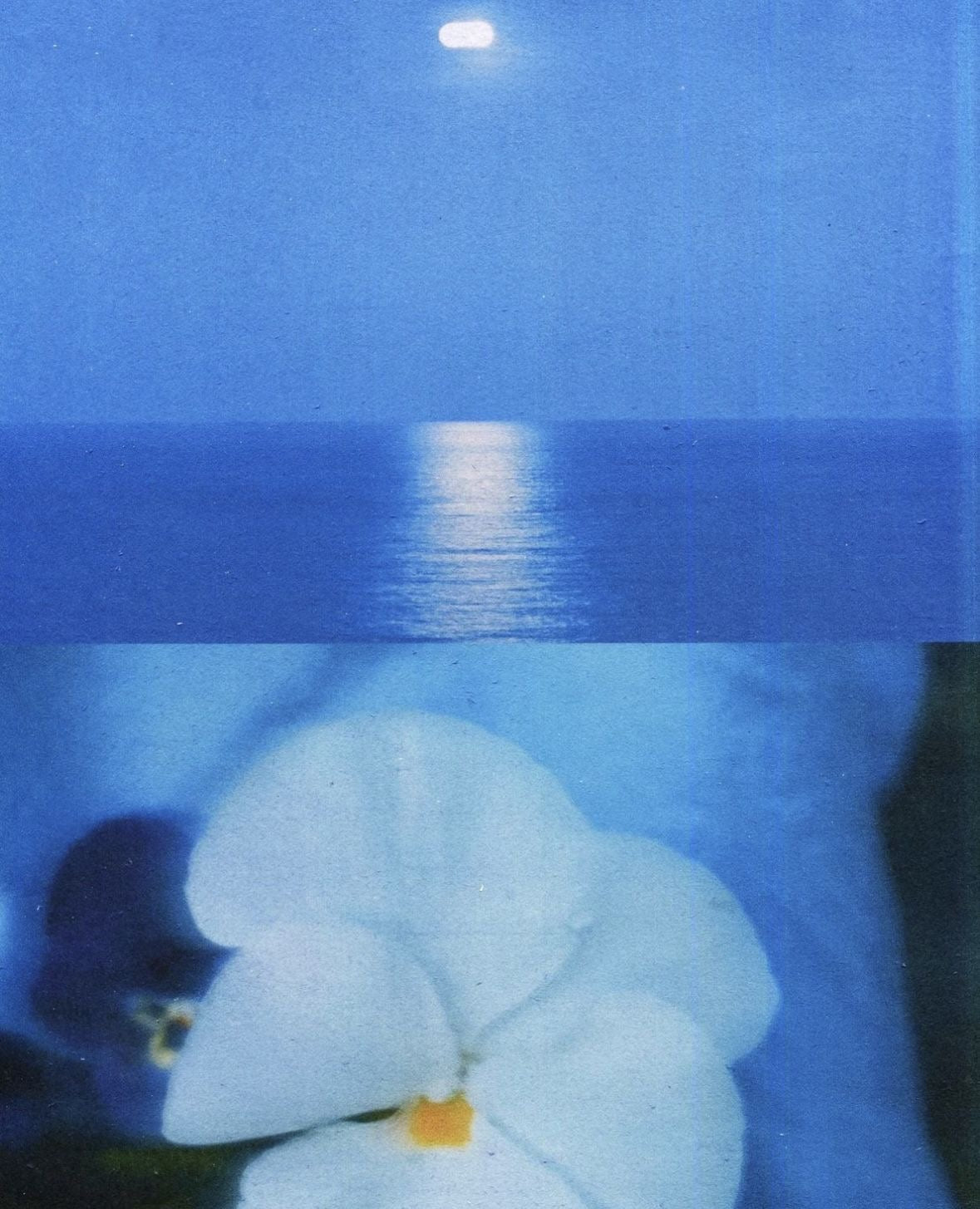 MERMAID MONDAY BUNDLE