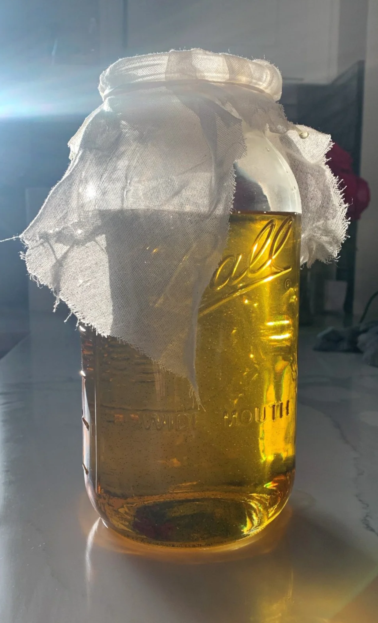 GOLDEN GUAVA EVERYTHING OIL