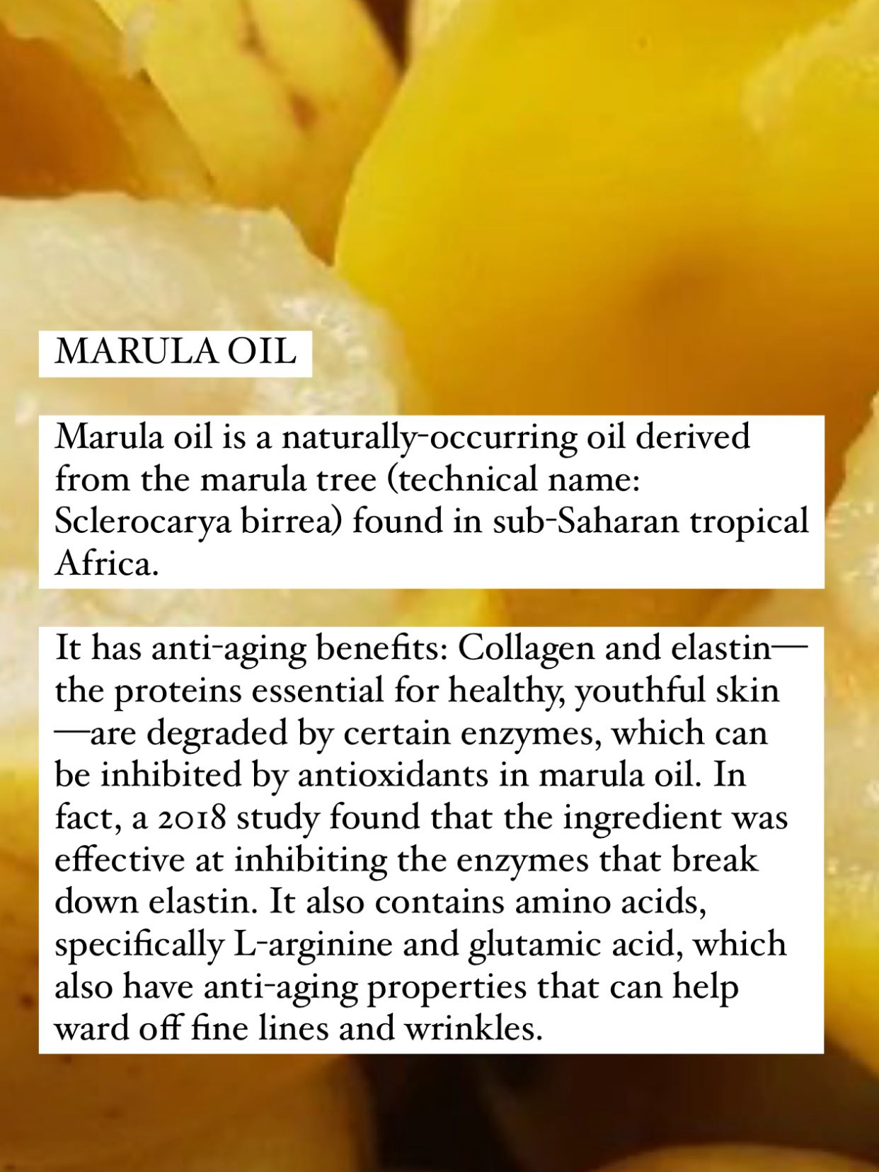 HOLY BASIL SERUM