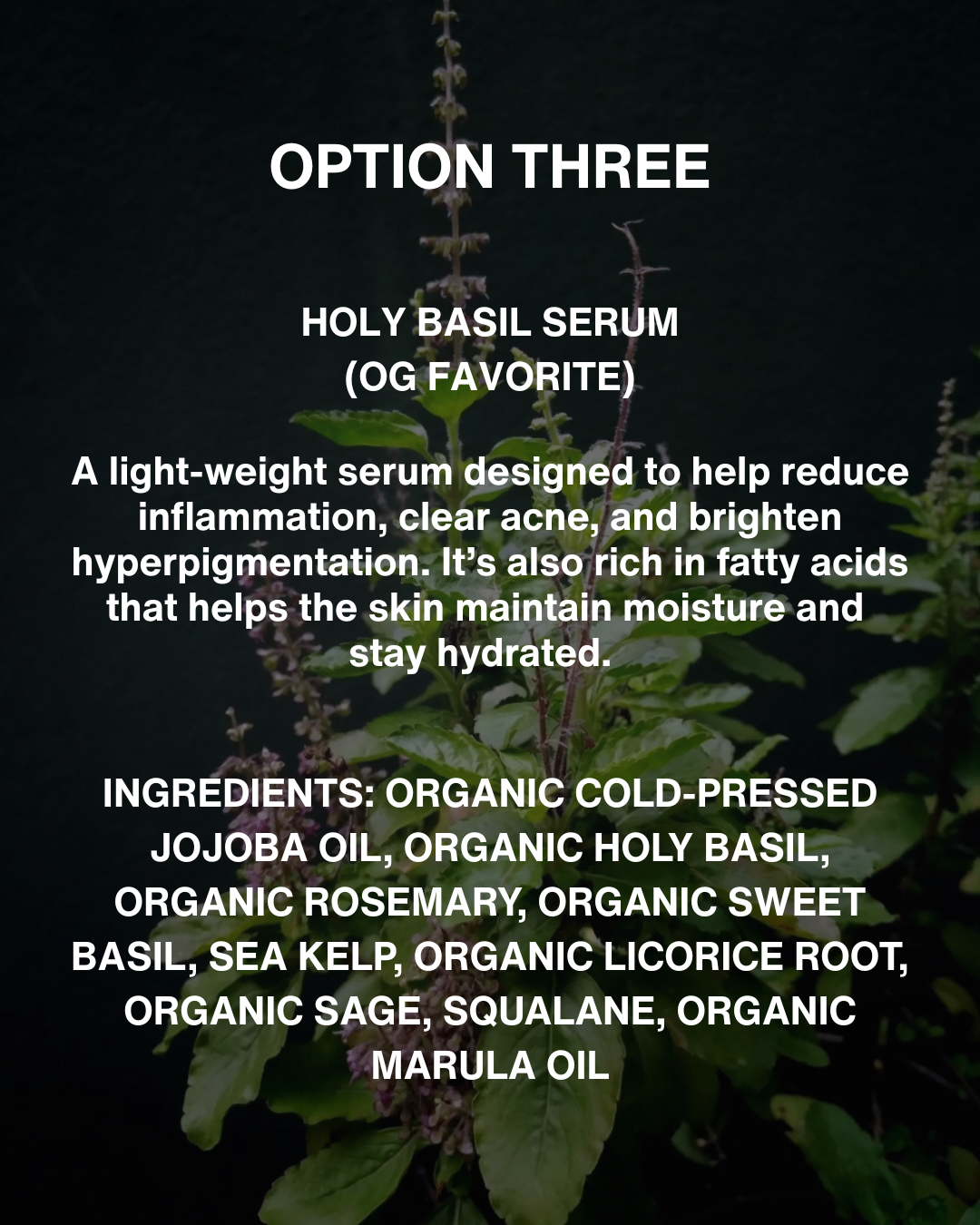 HOLY BASIL SERUM