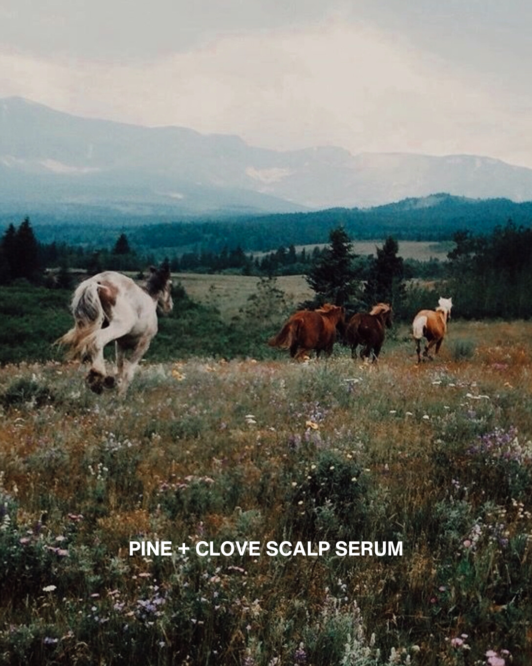 PINE & CLOVE SCALP SERUM