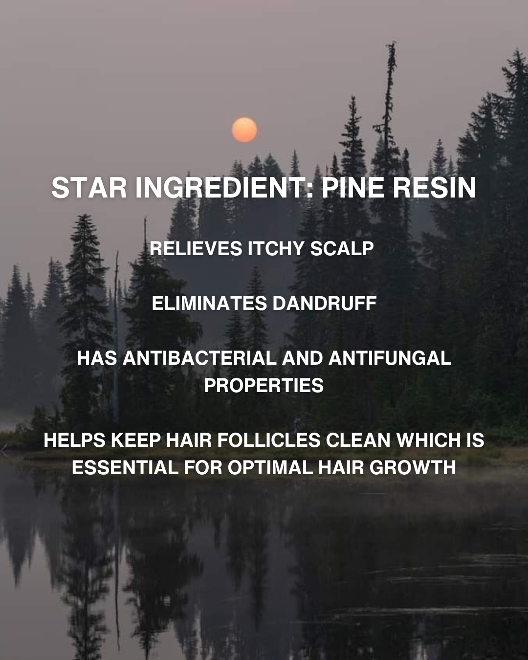 SKIN TINT: LUMINIZER