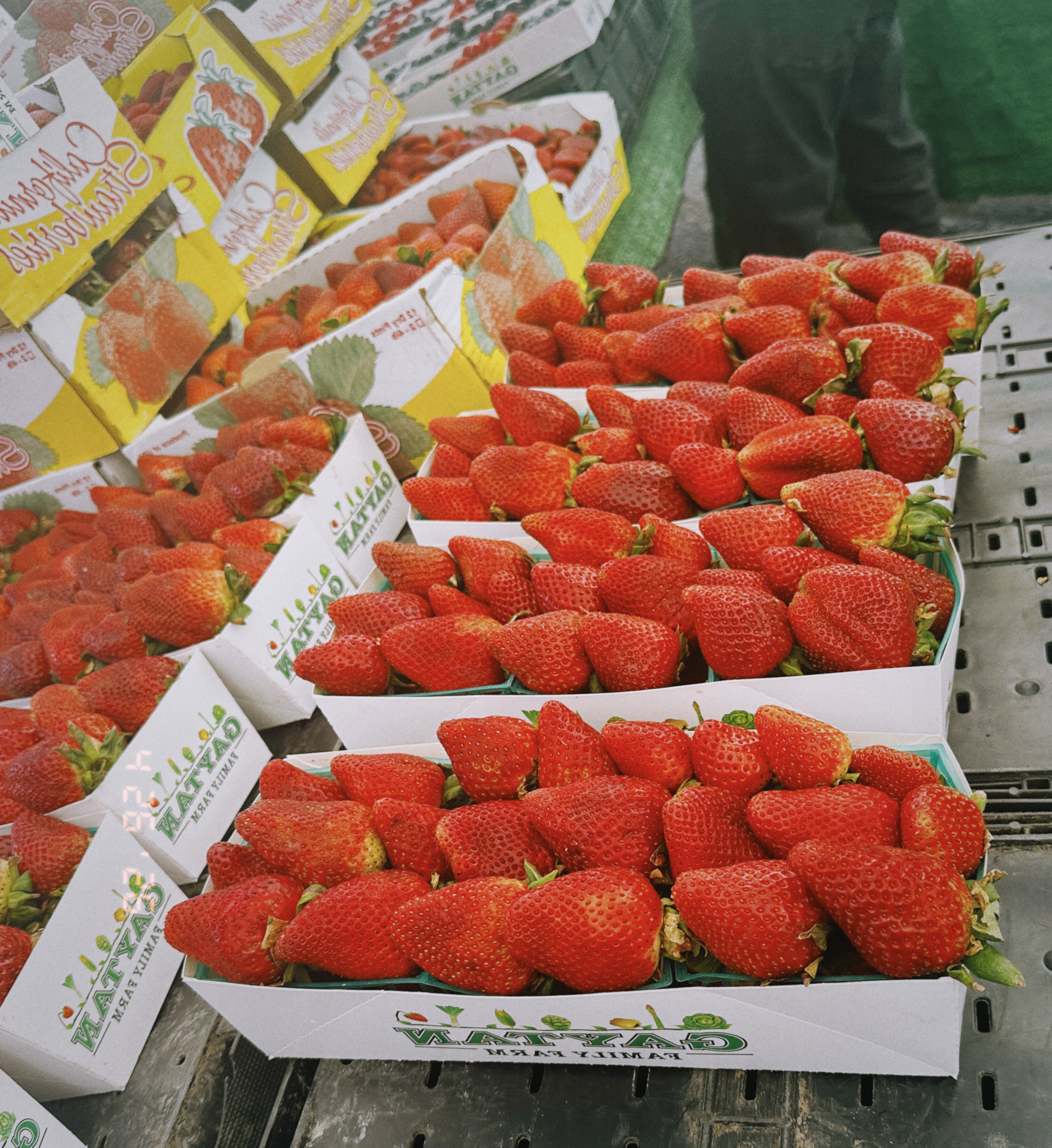 STRAWBERRY HYDROSOL
