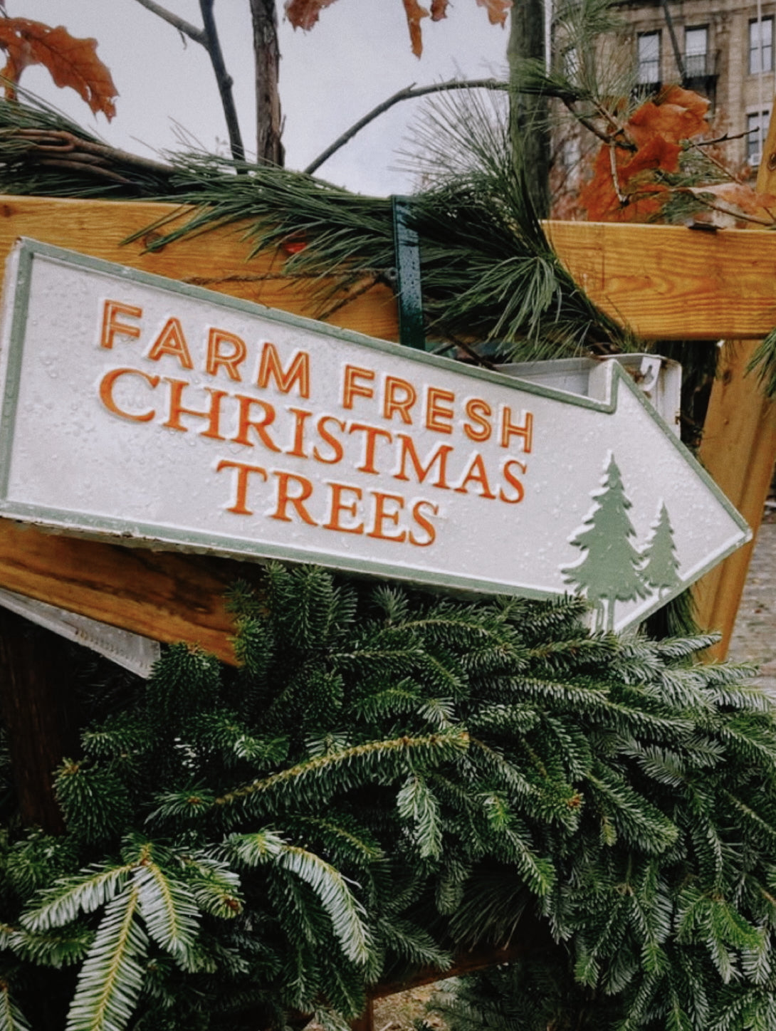 DOUGLAS FIR HYDROSOL