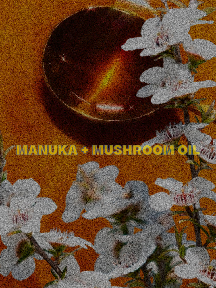 MANUKA + MUSHROOM OIL