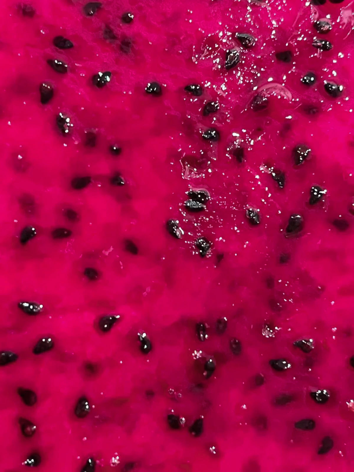 DRAGON FRUIT BUTTER BALM