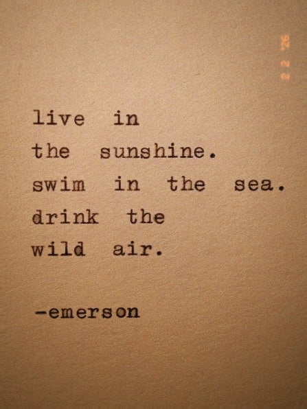 MERMAID MONDAY BUNDLE