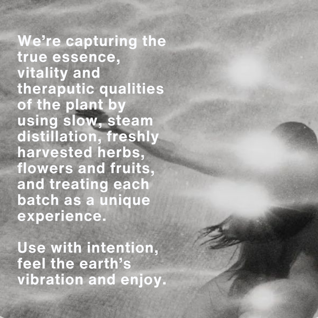 STRAWBERRY + BASIL + PALO SANTO HYDROSOL