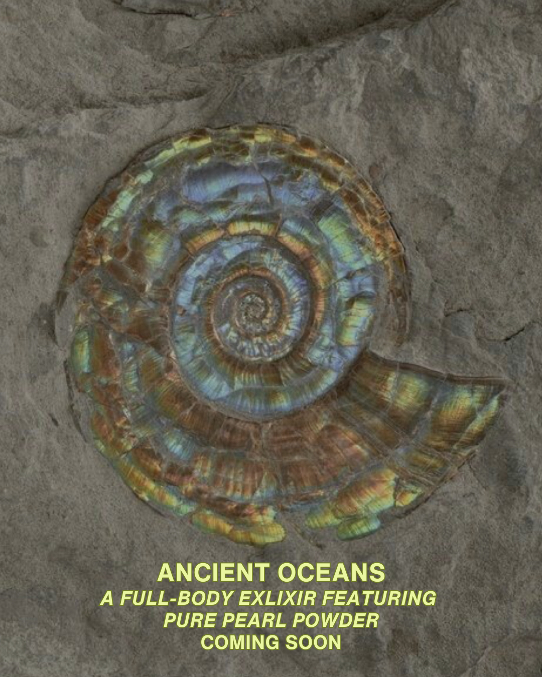 ANCIENT OCEANS