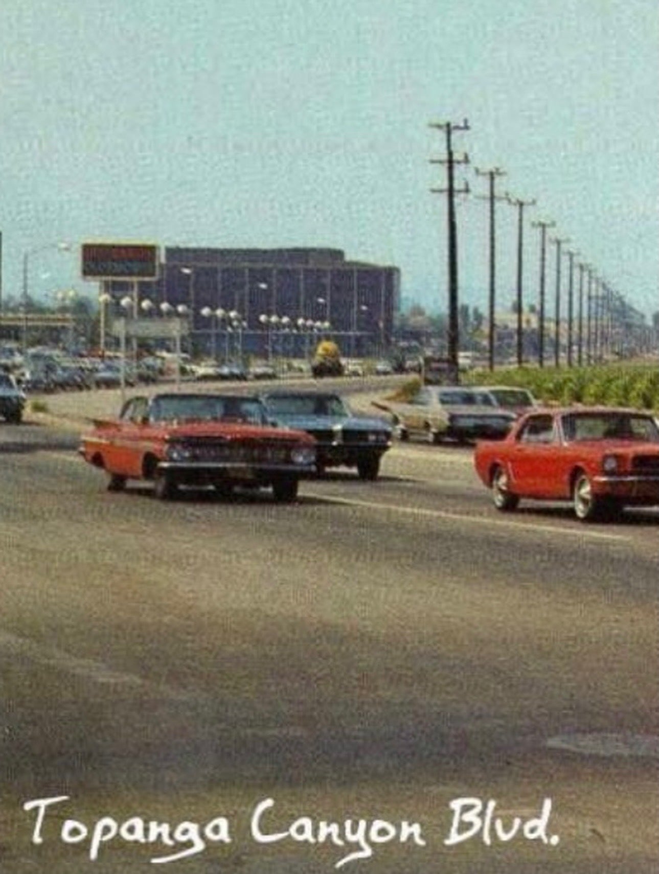 TOPANGA CANYON HYDROSOL