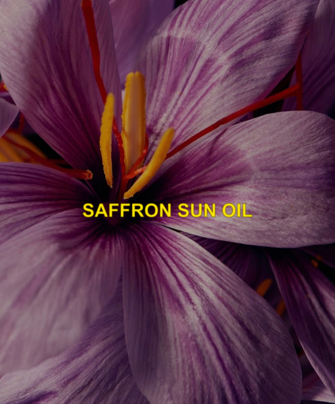 SAFFRON SUN OIL