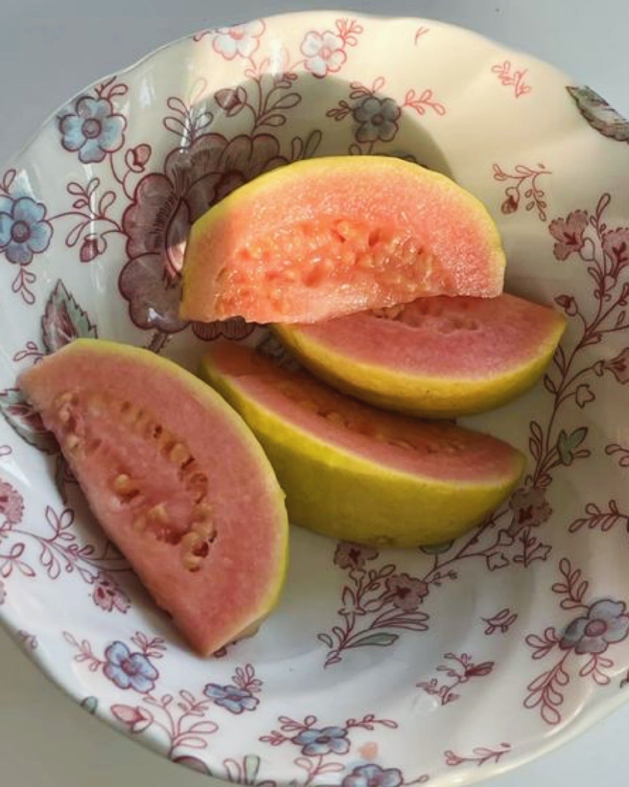 GUAVA LIP BALM