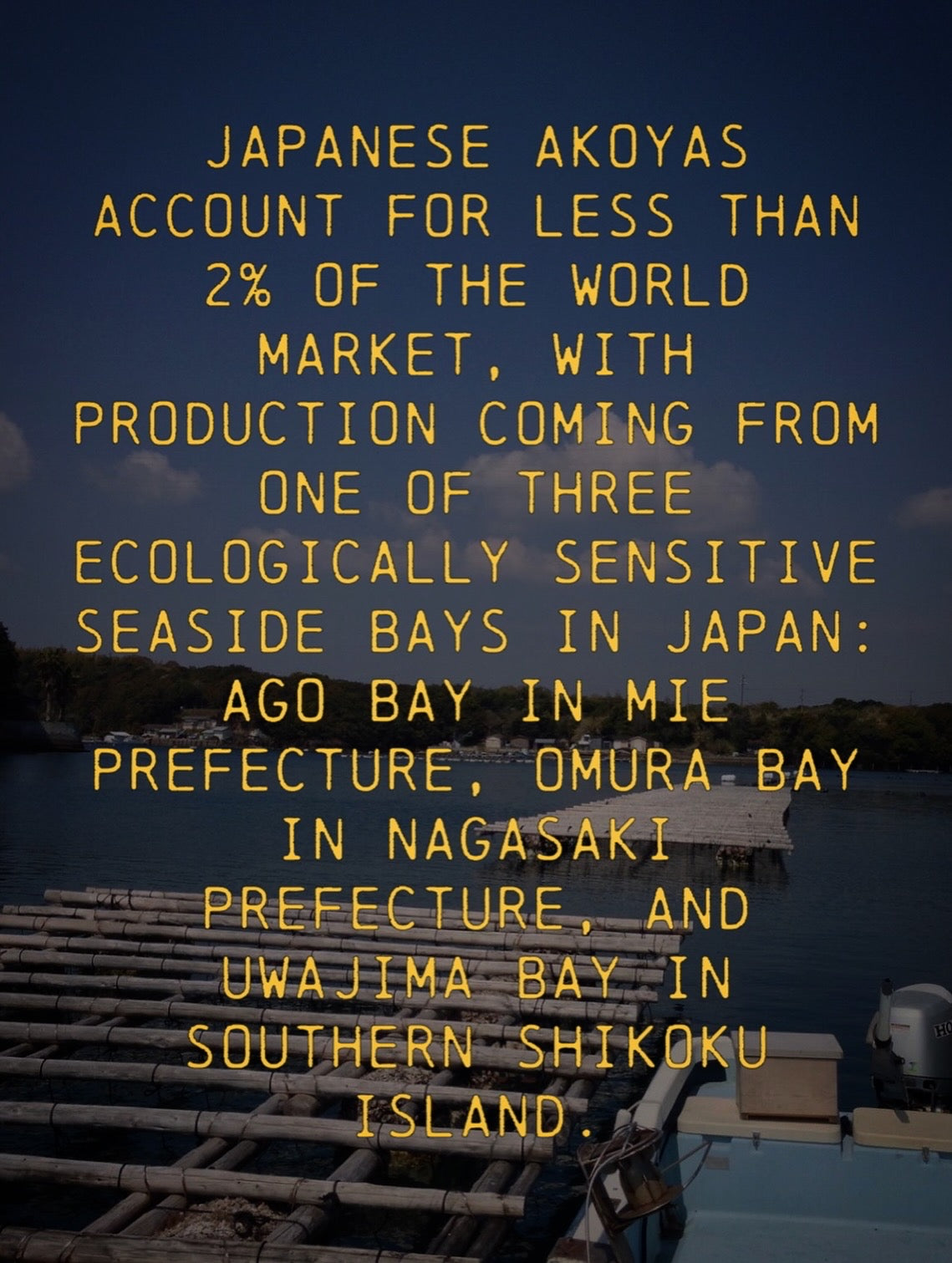 HONEY + PEARL EXFOLIATING MASK