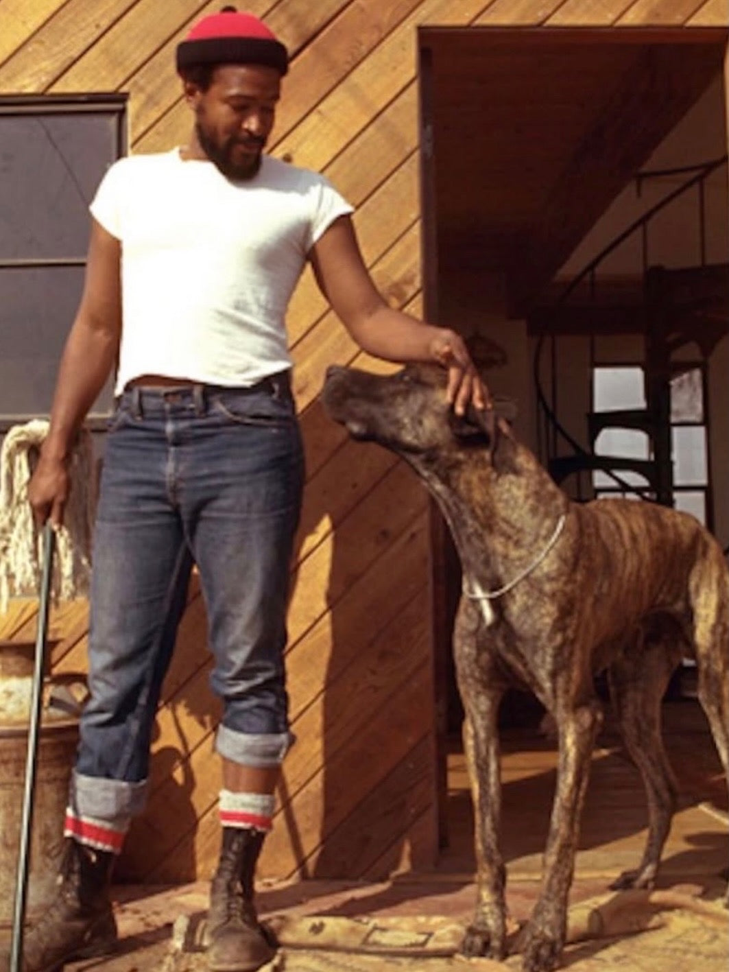 TOPANGA CANYON HYDROSOL