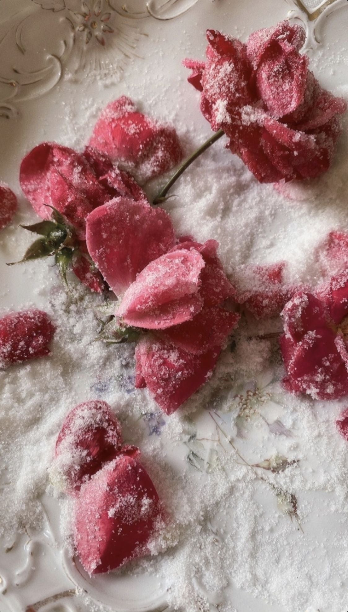 VANILLA + ROSE TALLOW BALM