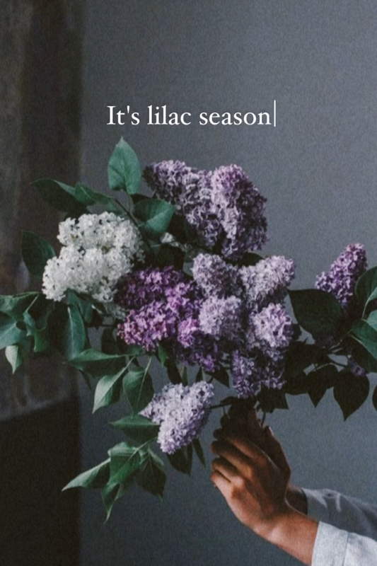 LILAC & JASMINE RESTORATIVE BALM