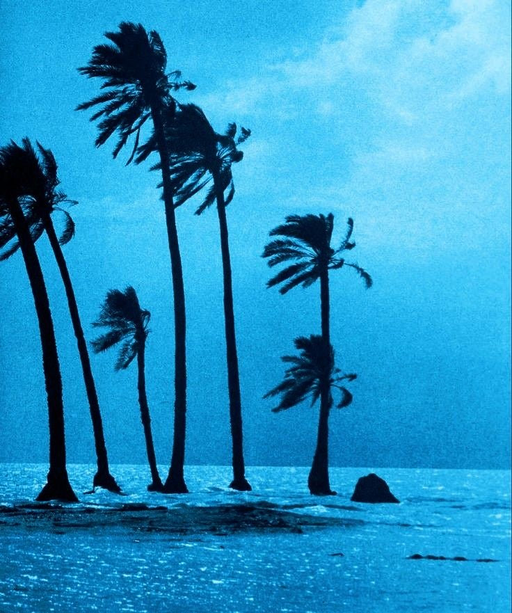 BLUE CRUSH HAIR SERUM ($5 SAMPLE)