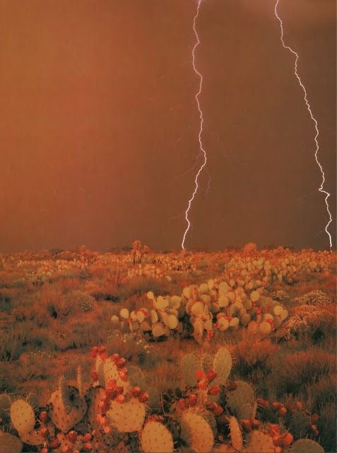 DESERT RAIN