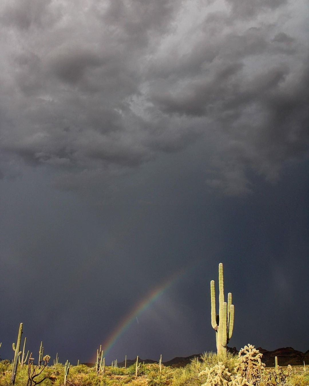 DESERT RAIN