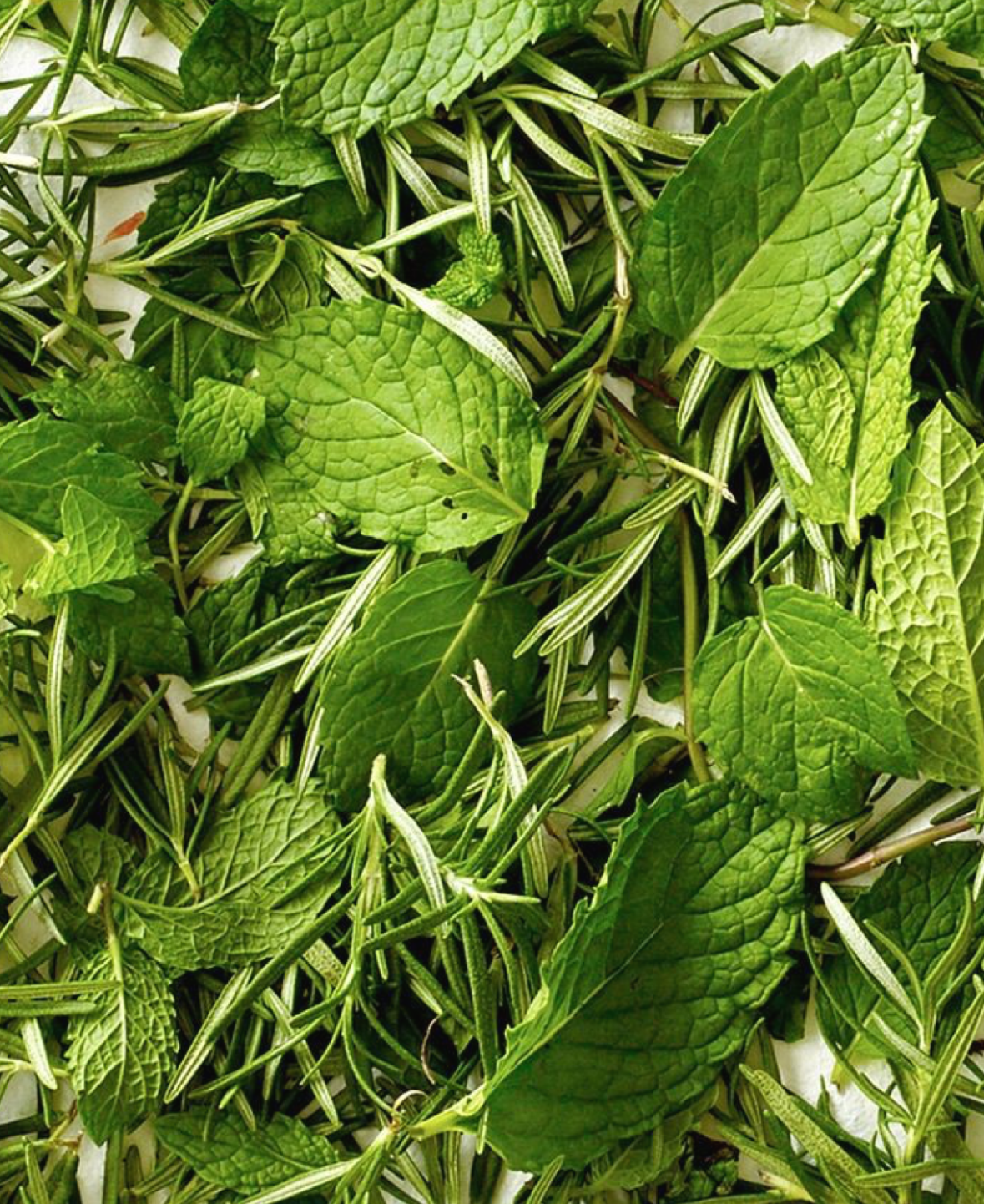 HAIR SAVIOR HYDROSOL