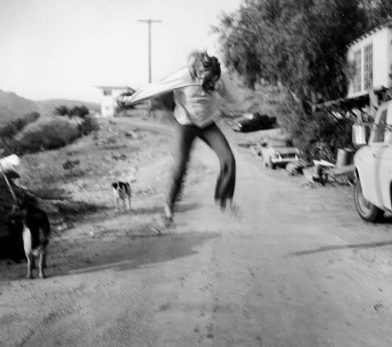 TOPANGA CANYON HYDROSOL