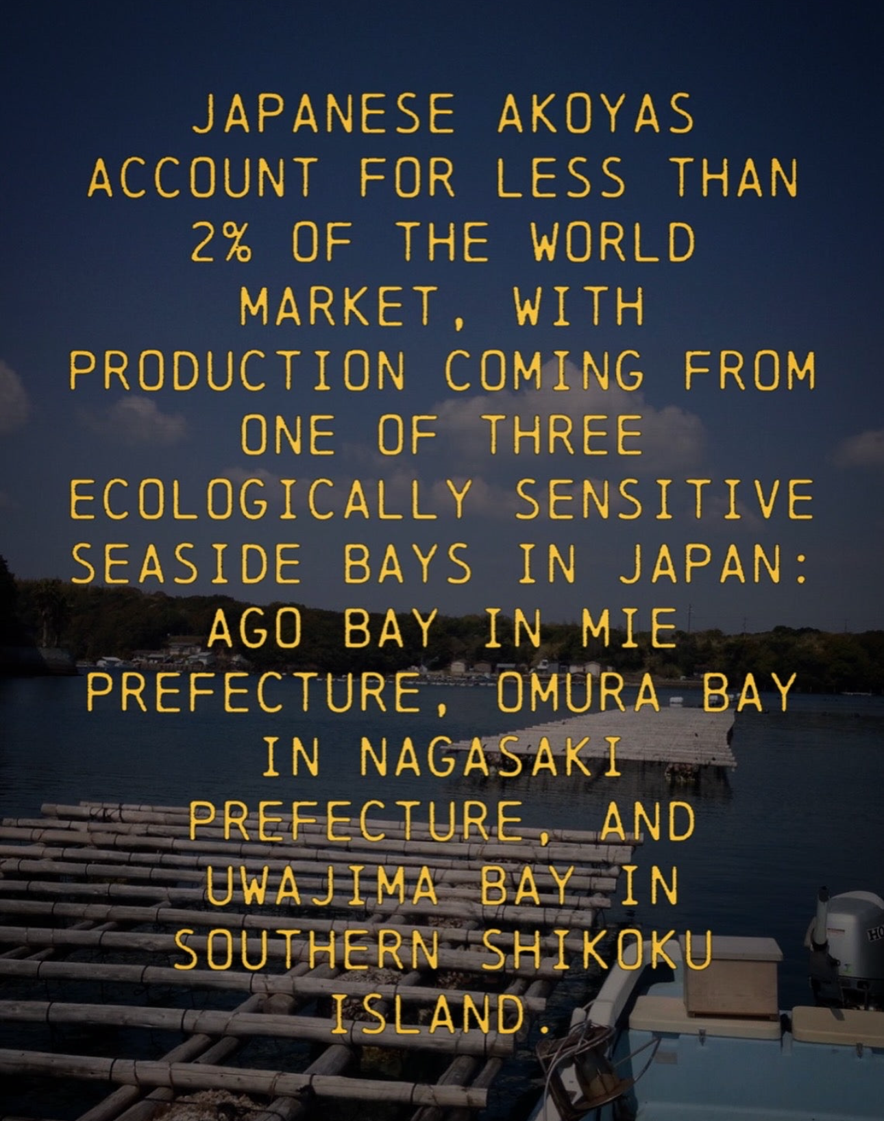 THE PEARL RESURFACING MASK