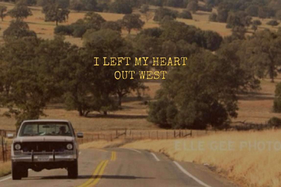 WILD SAGE TALLOW BALM