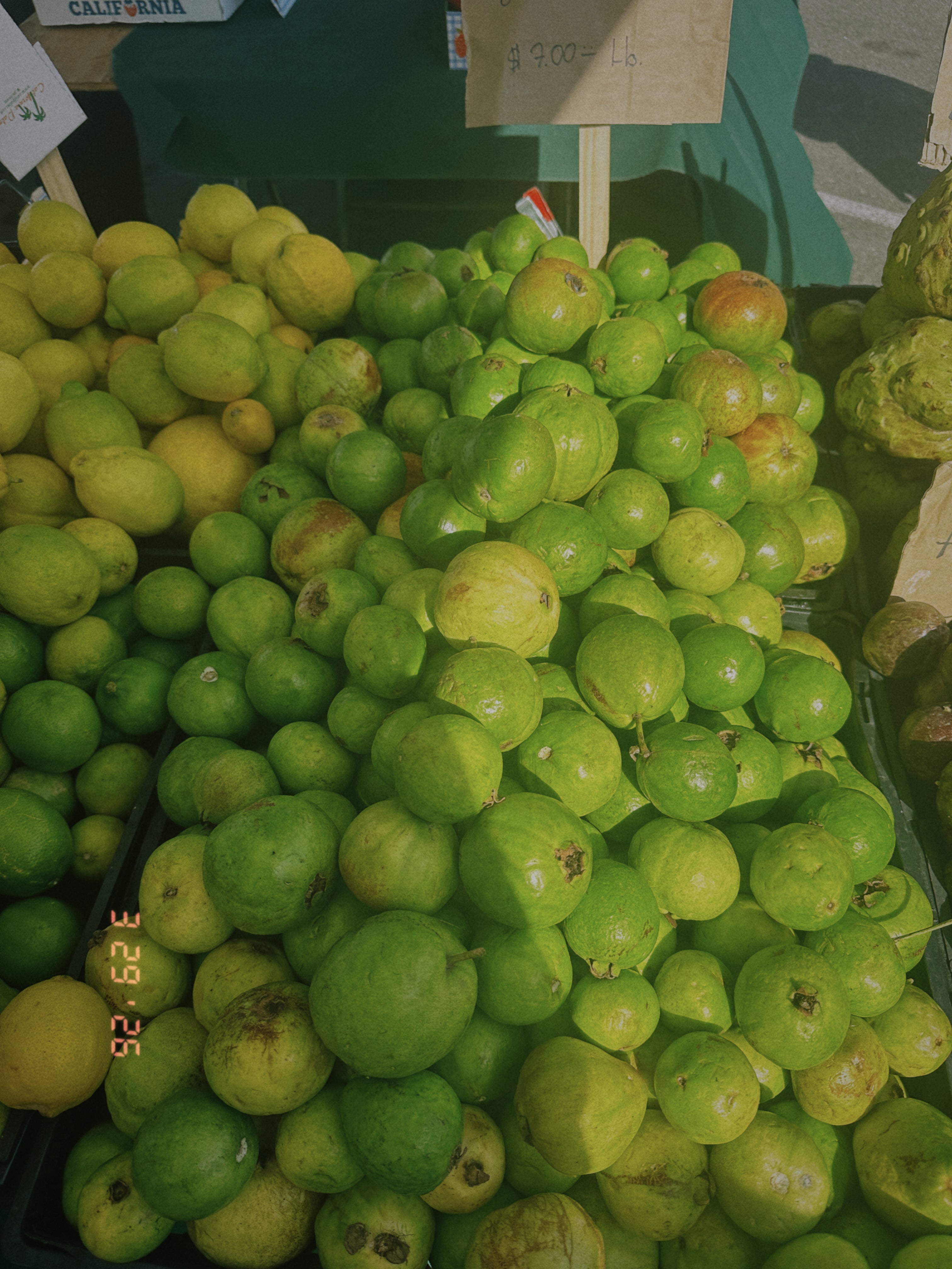 GUAVA + STRAWBERRY HYDROSOL