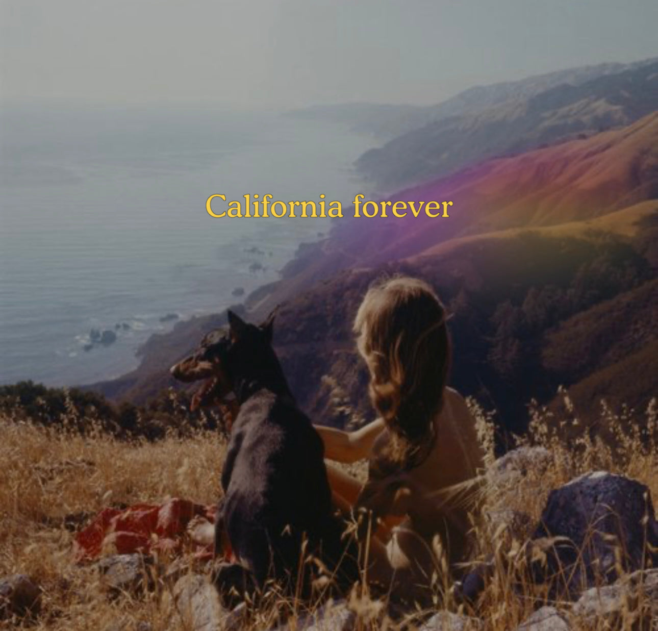 CALIFORNIA DREAMIN' OIL ROLLER