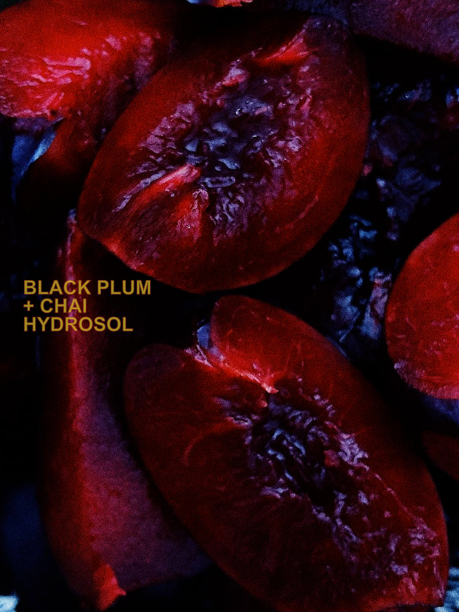 BLACK PLUM + CHAI HYDROSOL