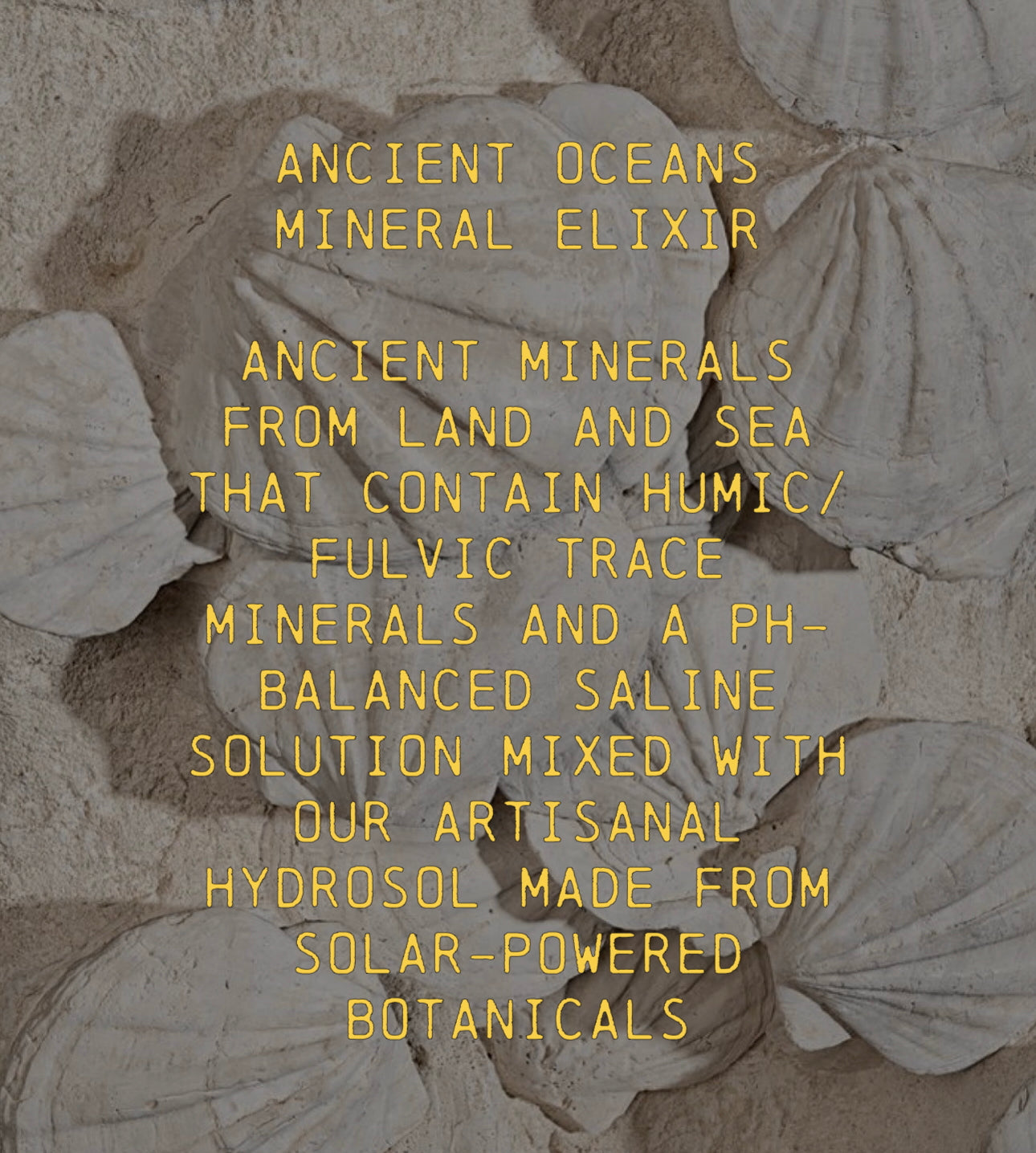 ANCIENT OCEANS