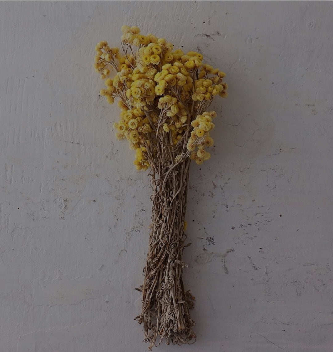 STRANGE BREW SECRET WEAPON SERUM