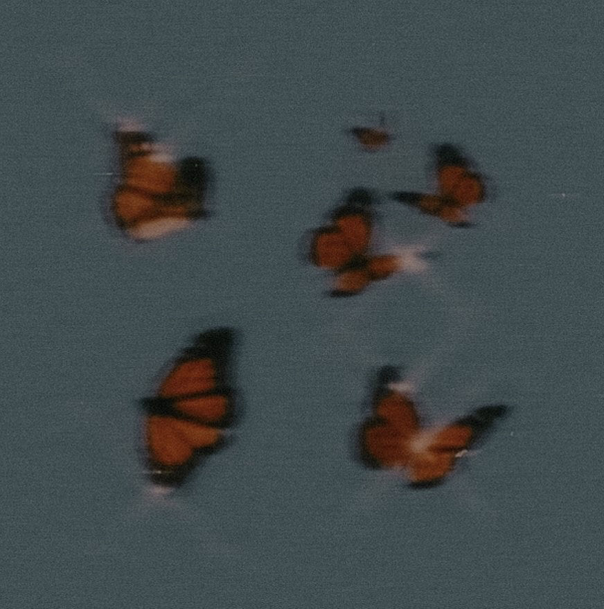 BUTTERFLY BALM