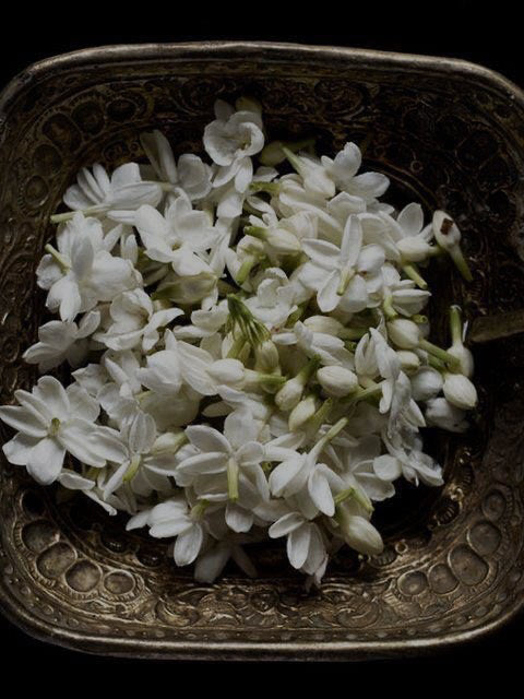 IN BLOOM TALLOW BALM