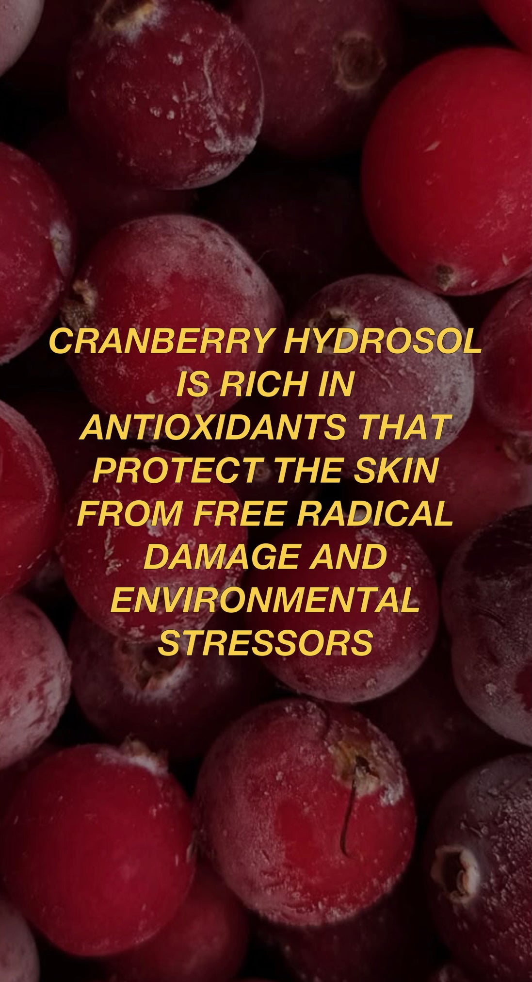 WINTER APEROL SPRITZ HYDROSOL