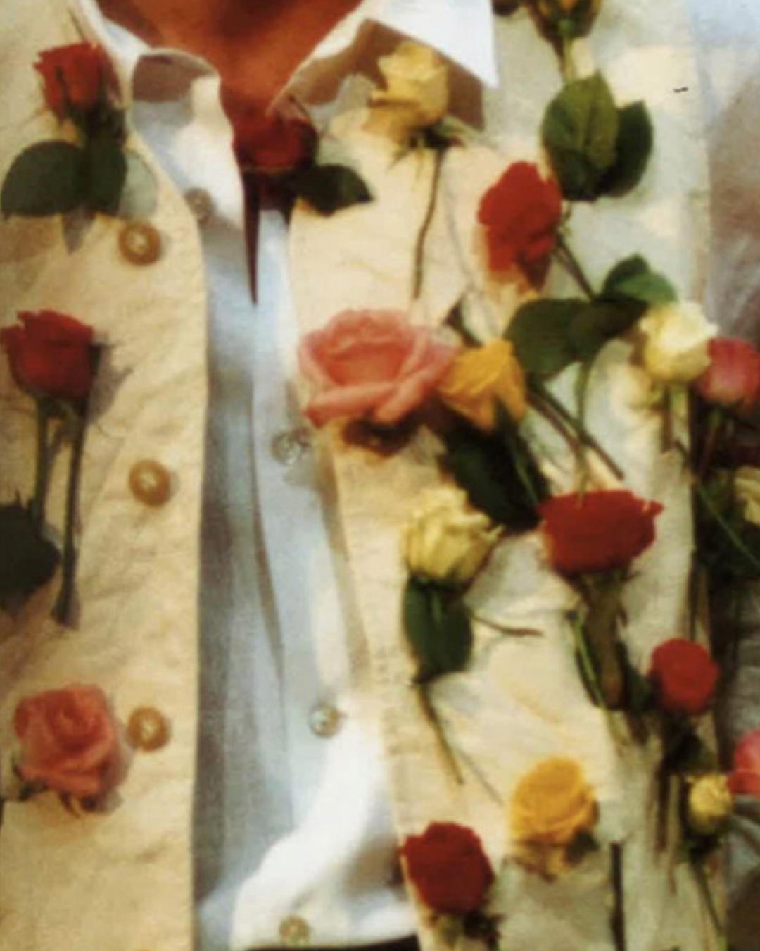 GARDEN PARTY EVERYTHING OIL
